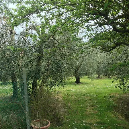 Poggio D'oro Ferienhaus