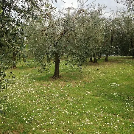 Ferienhaus Poggio D'oro *
