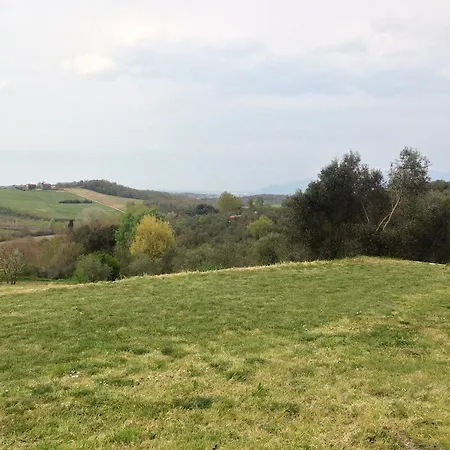 Poggio D'oro * Capannoli