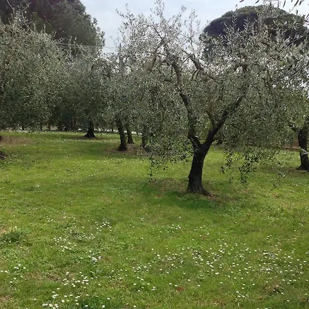 Ferienhaus Poggio D'oro